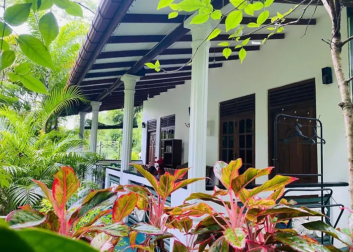 The Jungle Path Lodge
