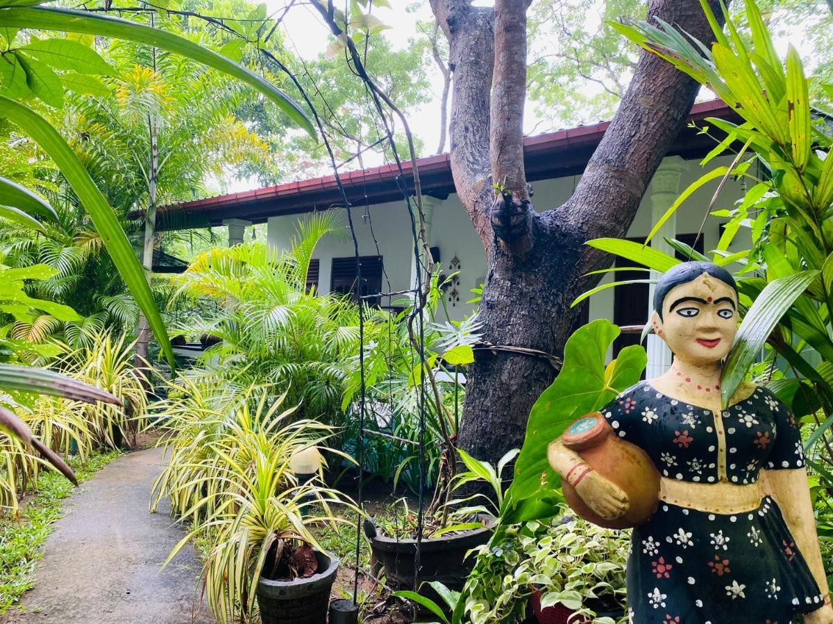 The Jungle Path *
