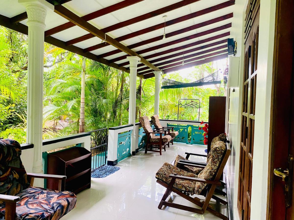 The Jungle Path Lodge