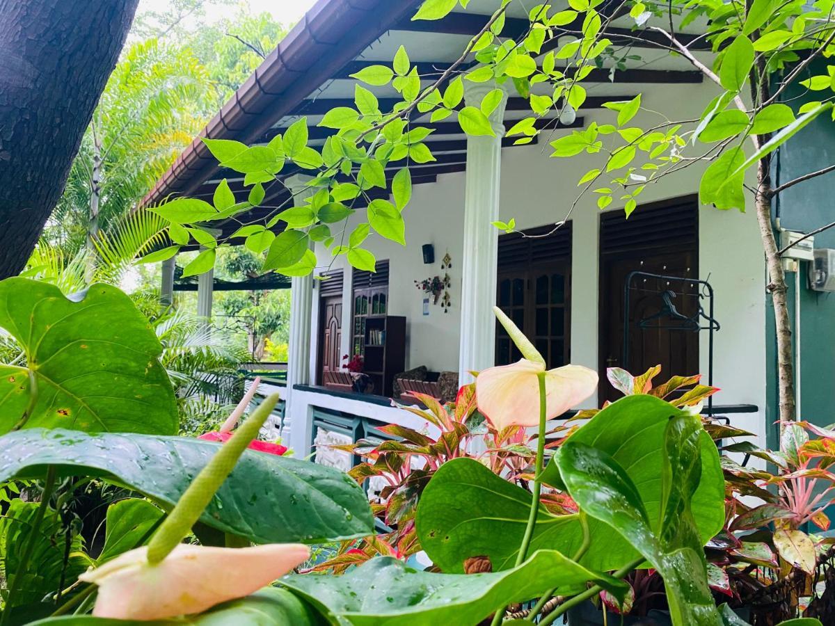Lodge The Jungle Path