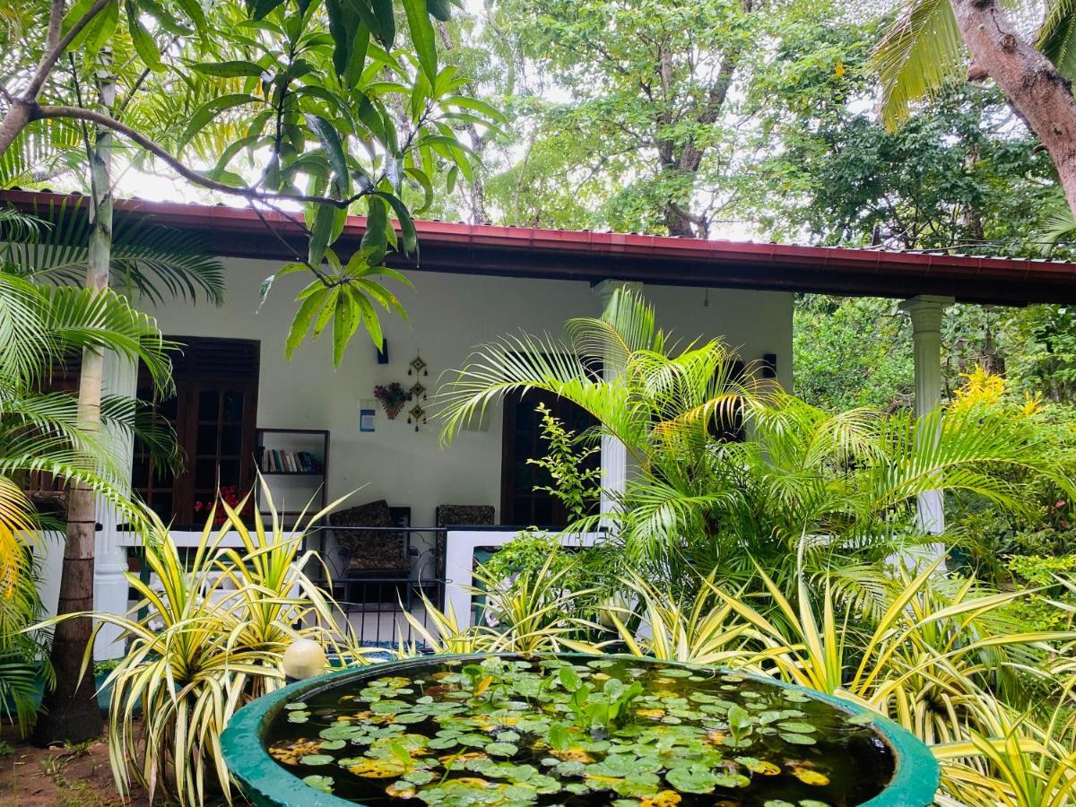 The Jungle Path Lodge Sigiriya